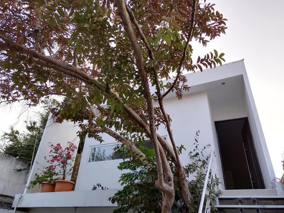 Casa Mango Amplia Con Alberca Y Cerca De La Media Luna !!! Río Verde المظهر الخارجي الصورة